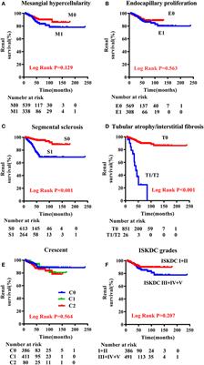 Using MEST-C Scores and the International Study of Kidney Disease in Children Classification to Predict Outcomes of Henoch–Schönlein Purpura Nephritis in Children